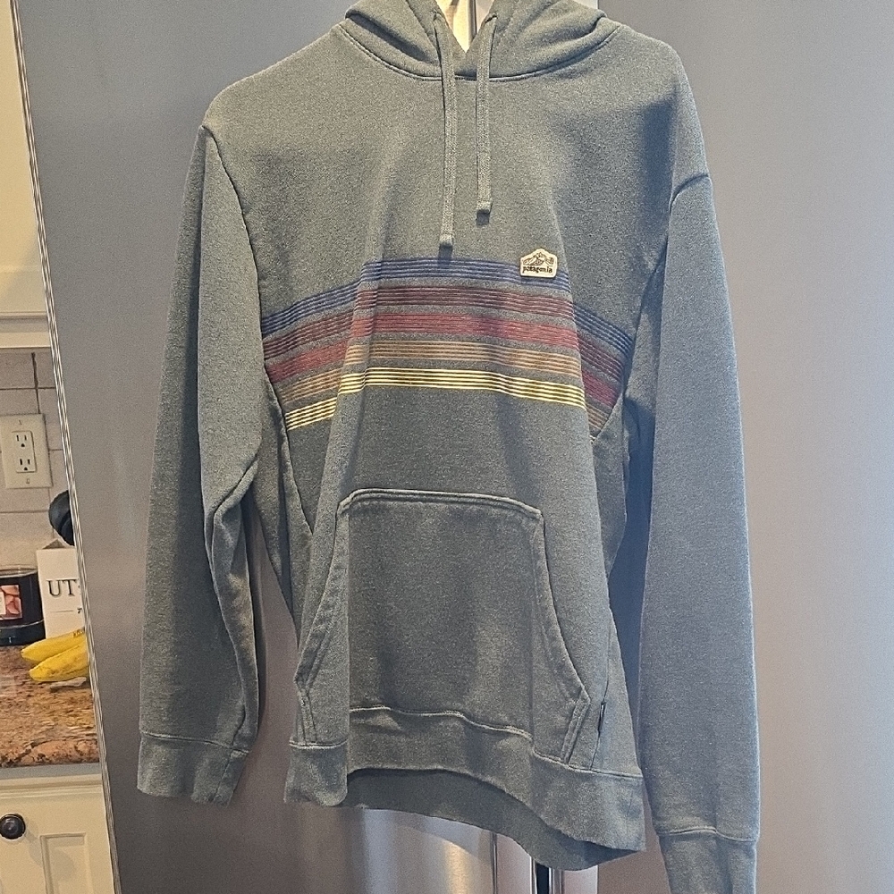 Womens Large /mens Med  Patagonia Blue Striped Hoodie